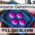 Adams Secret 04